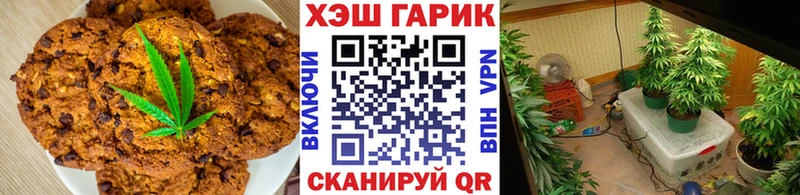 мега   мориарти официальный сайт  Canna-Cookies конопля  Торопец 