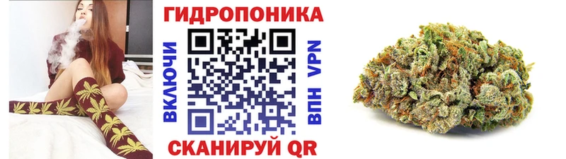 Конопля конопля  кракен ТОР  Торопец 